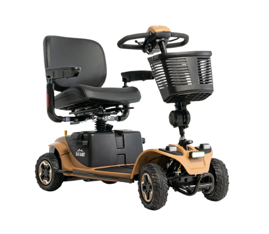 Baja Bandit 4-Rad