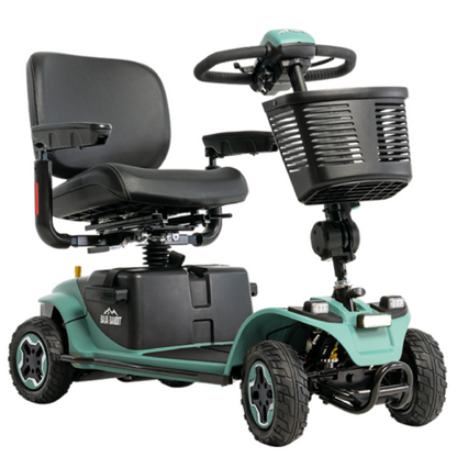 Baja Bandit 4-Rad