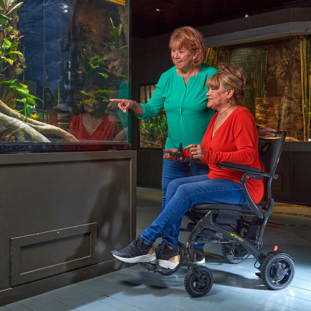 Golden Cricket Foldable Powerchair